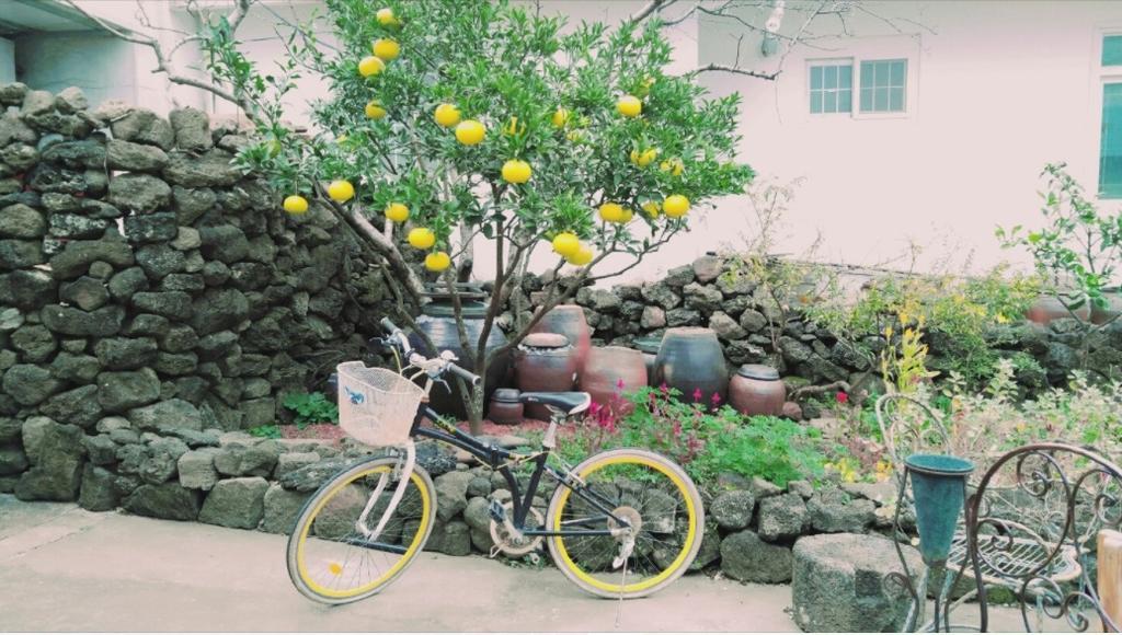 Jaun Guesthouse Seogwipo Dış mekan fotoğraf