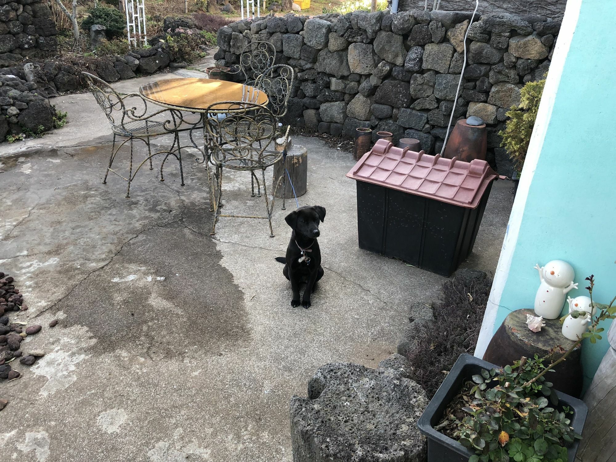 Jaun Guesthouse Seogwipo Dış mekan fotoğraf